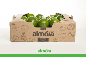 Limón  - Almora Fruits